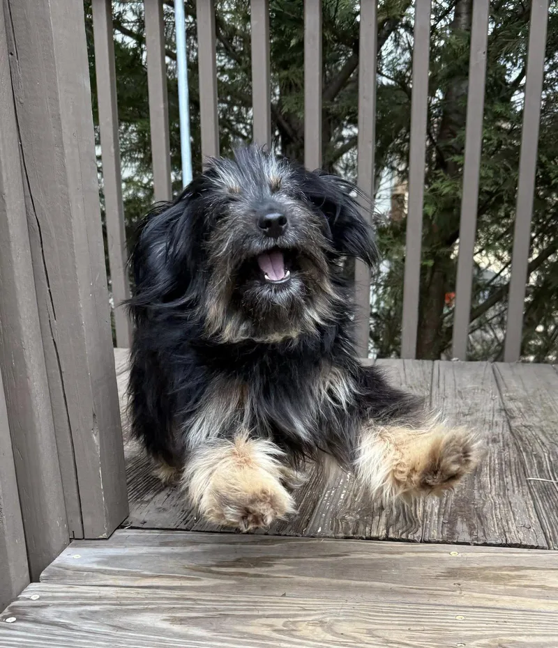 Margo Middleton thumbnail 2