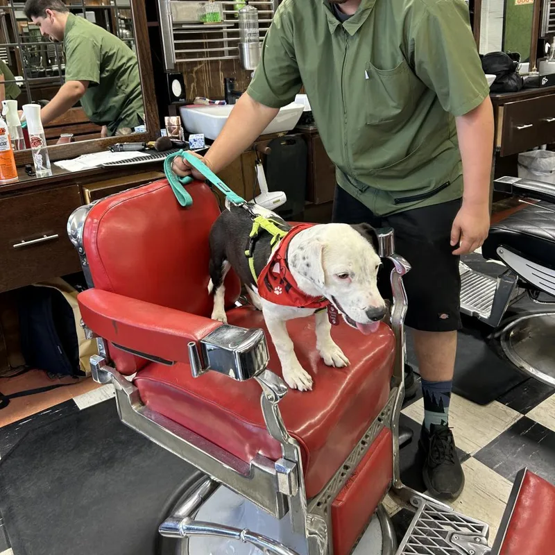 Black Jack thumbnail 2