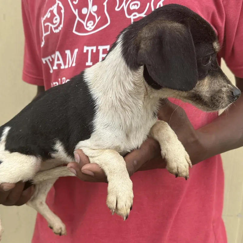 Martha  Local April thumbnail 2