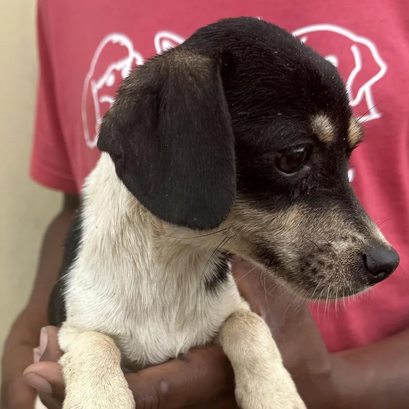 Martha  Local April thumbnail 3