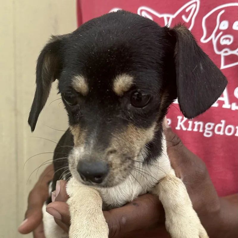 Martha  Local April thumbnail 4