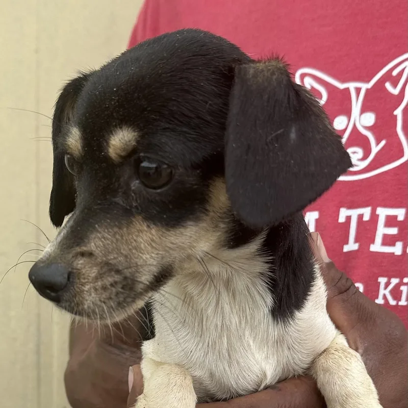 Martha  Local April thumbnail 5