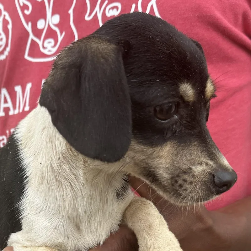 Martha  Local April thumbnail 6