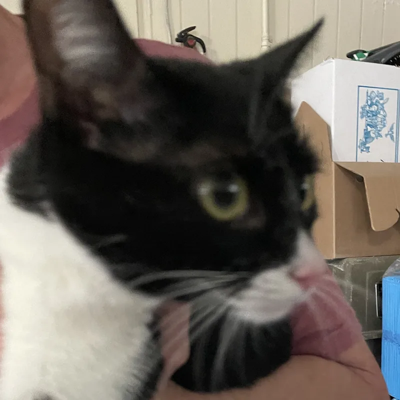 Lil Marb thumbnail 3