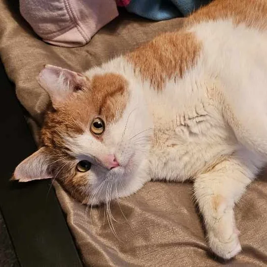 Bobby thumbnail 3