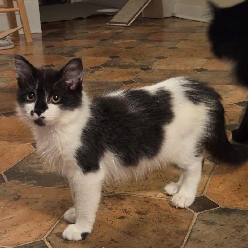 Hail And Blizzard thumbnail 3