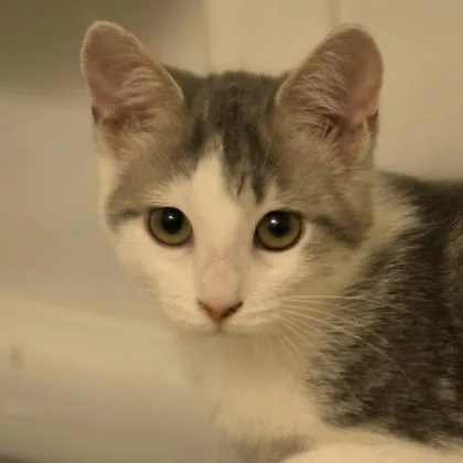 Tabitha thumbnail 3