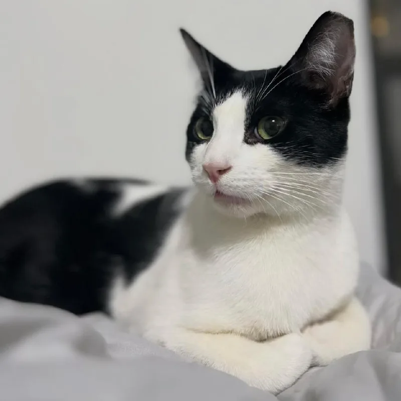 Elliott Burke thumbnail 2