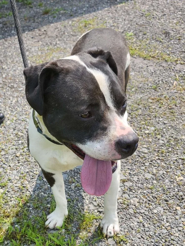 Daisy June thumbnail 2