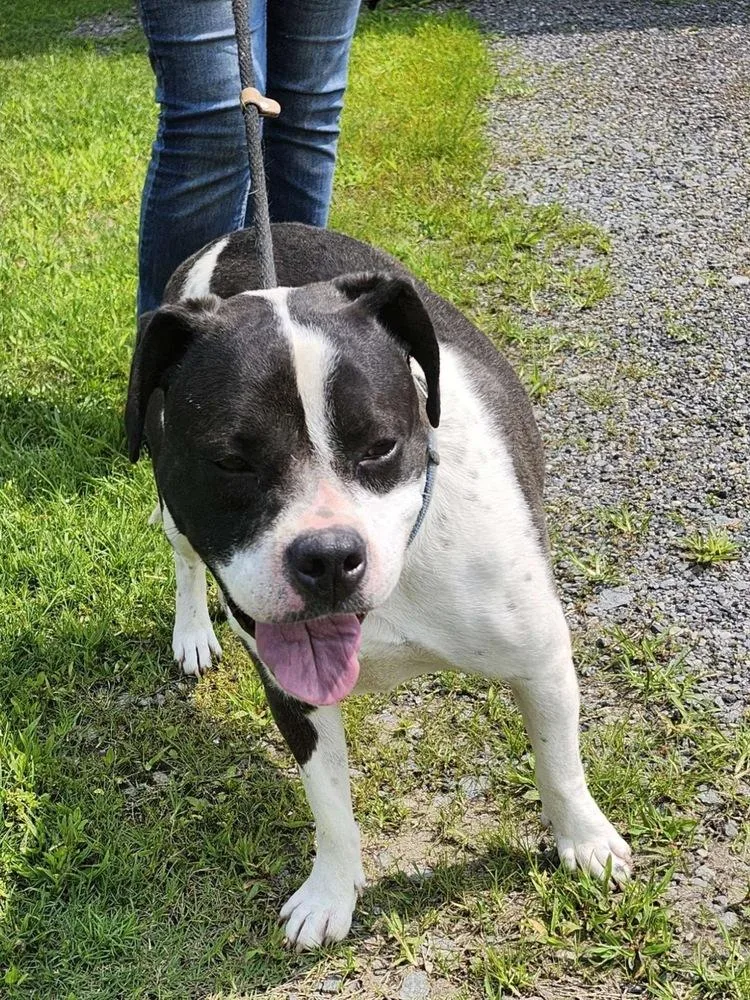 Daisy June thumbnail 3