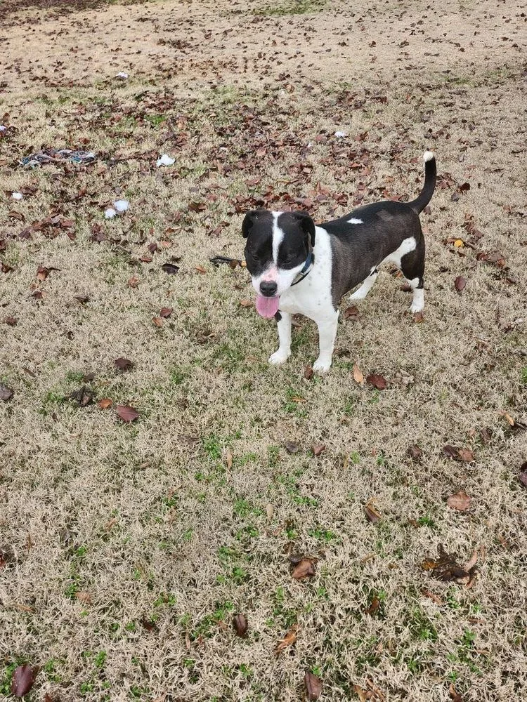 Daisy June thumbnail 6