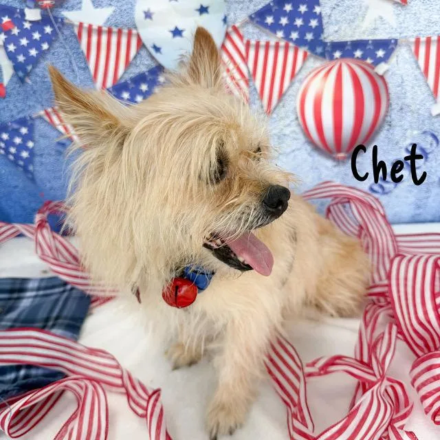 Chet