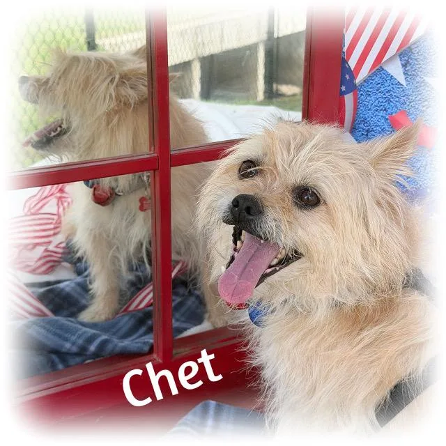 Chet thumbnail 2