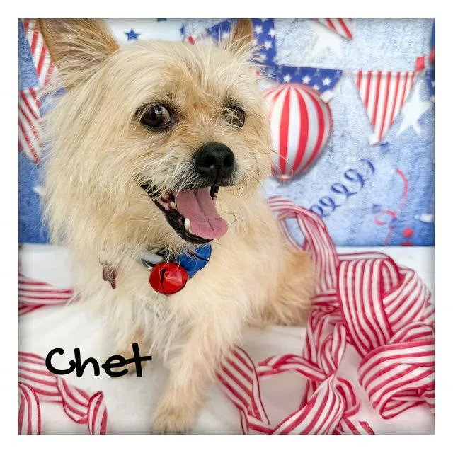 Chet thumbnail 3