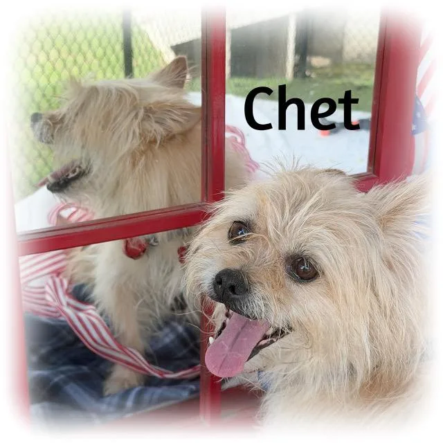 Chet thumbnail 4