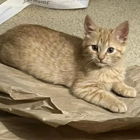 Tina