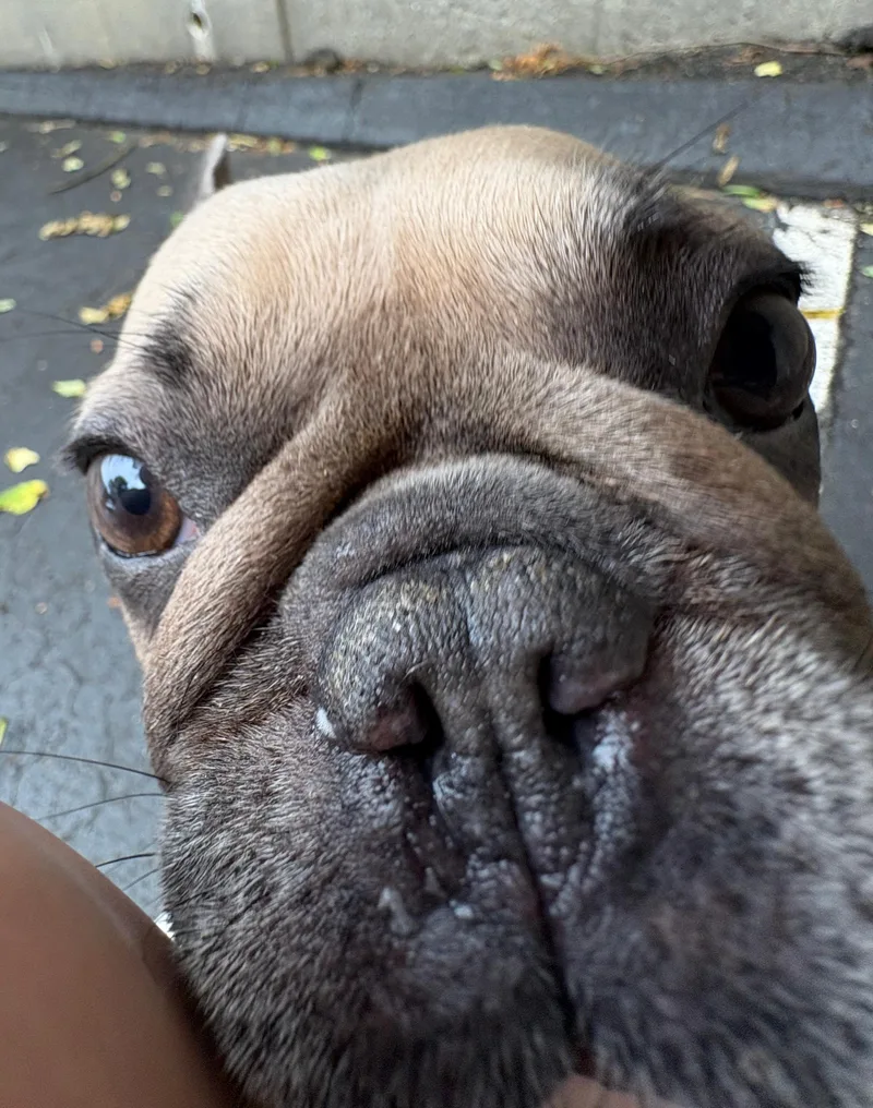 Margo thumbnail 2