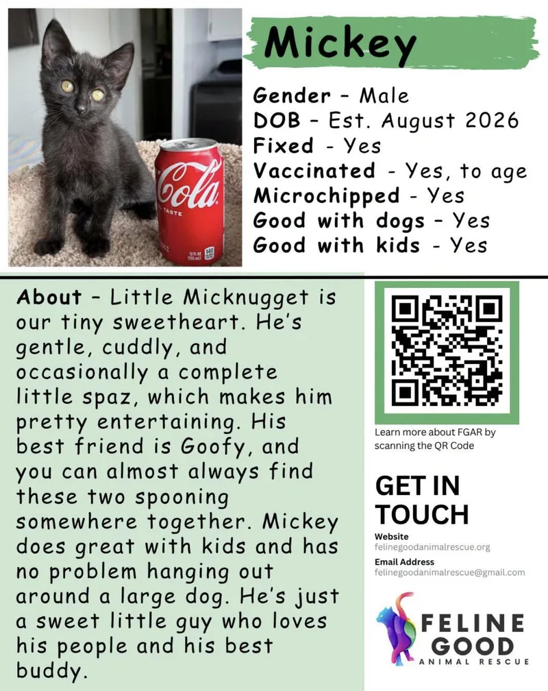 Mickey thumbnail 3