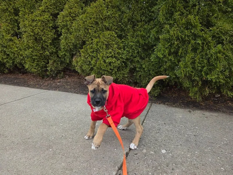 Rootbeer thumbnail 2