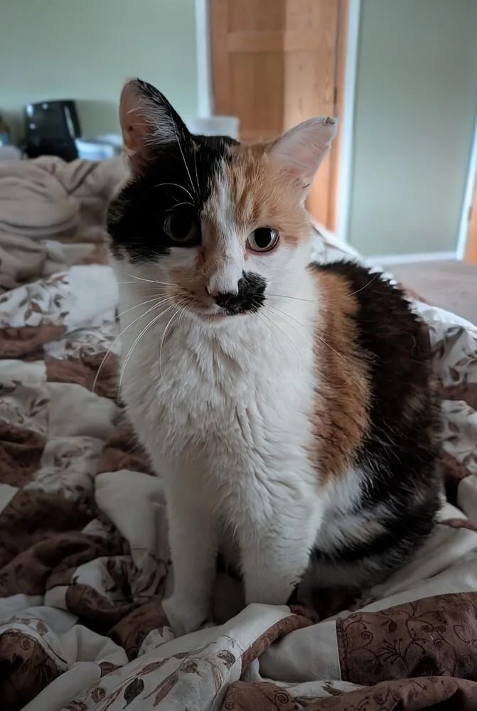KiKi thumbnail 3