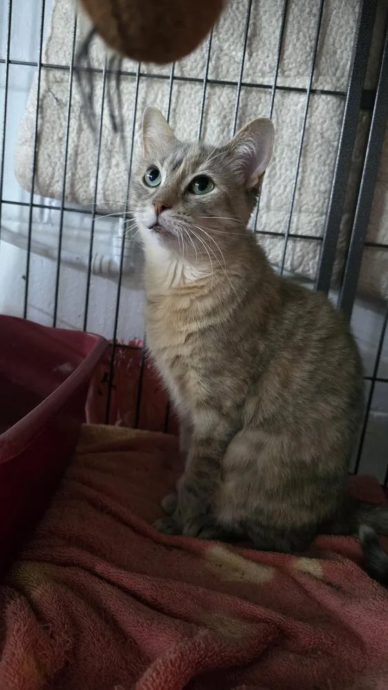 Confetti thumbnail 3