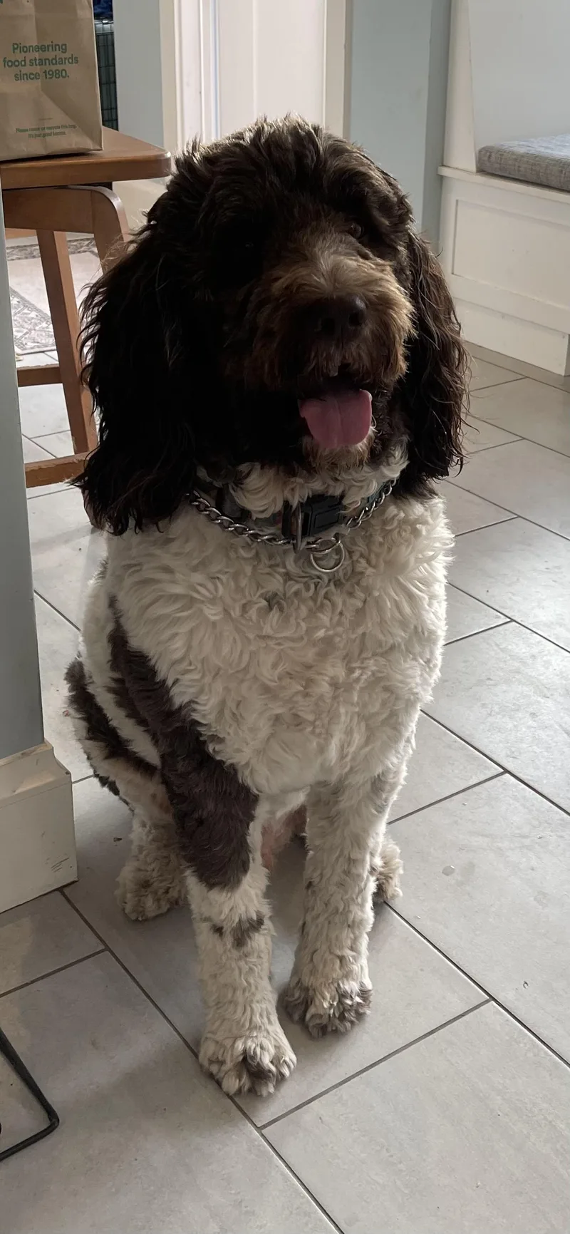 Mookie Needs A Special thumbnail 4