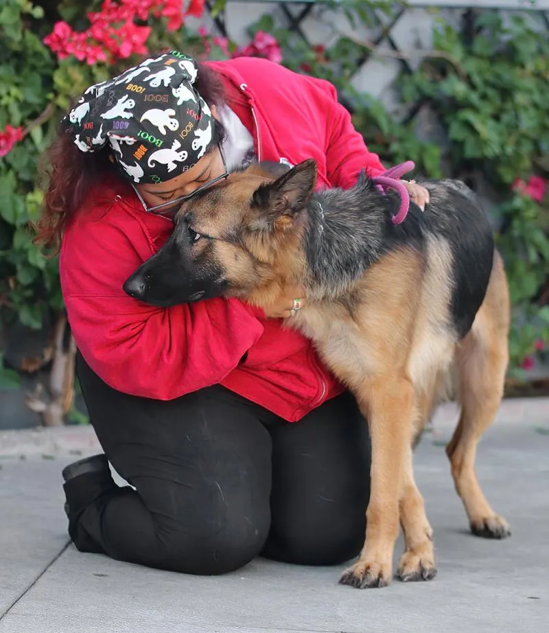 Heidi Von Hildesheim thumbnail 4