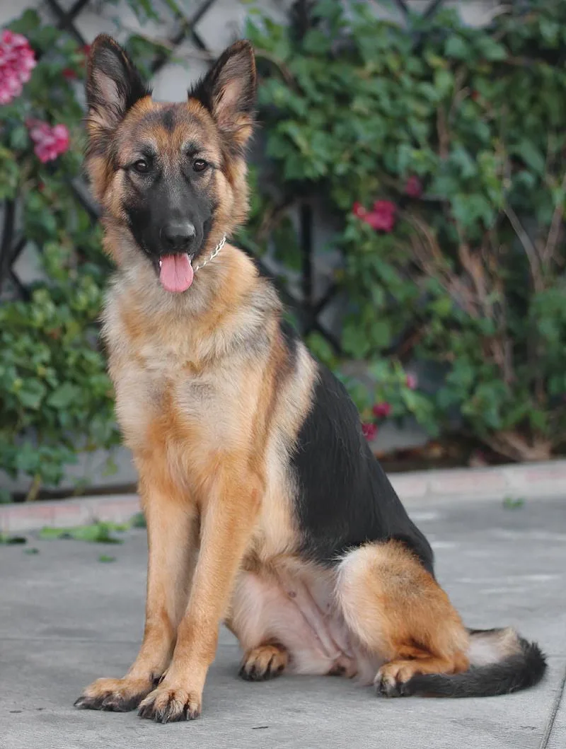 Heidi Von Hildesheim thumbnail 6