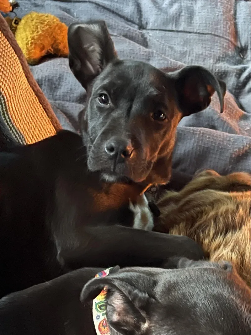 Lexi thumbnail 5