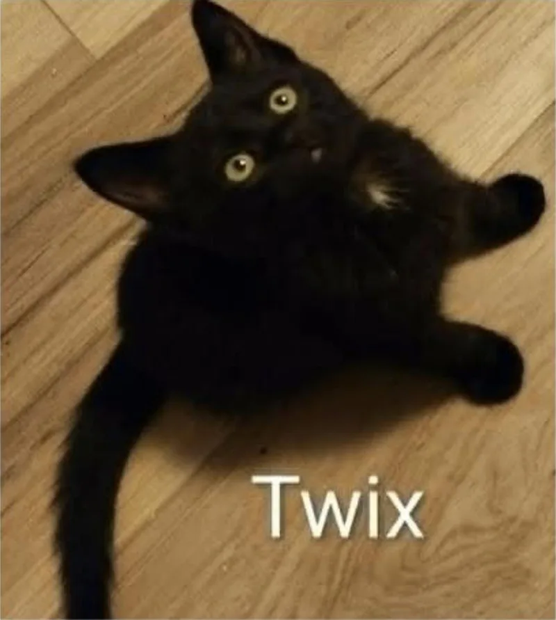 Twix thumbnail 2