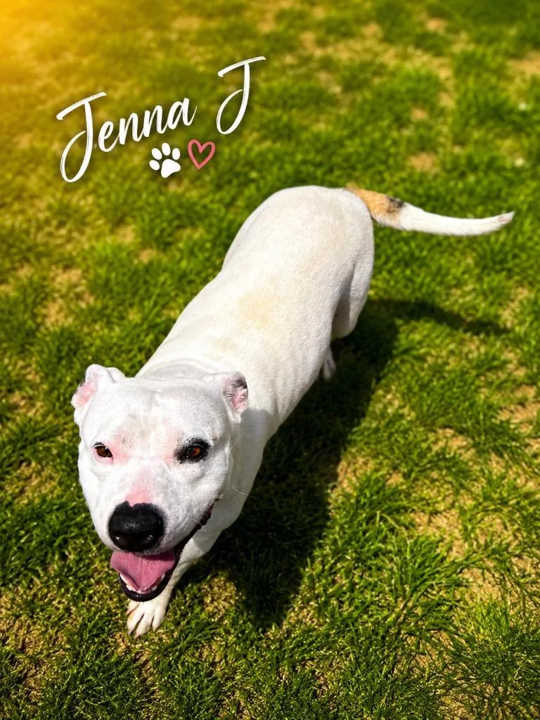 Jenna aka Rosie