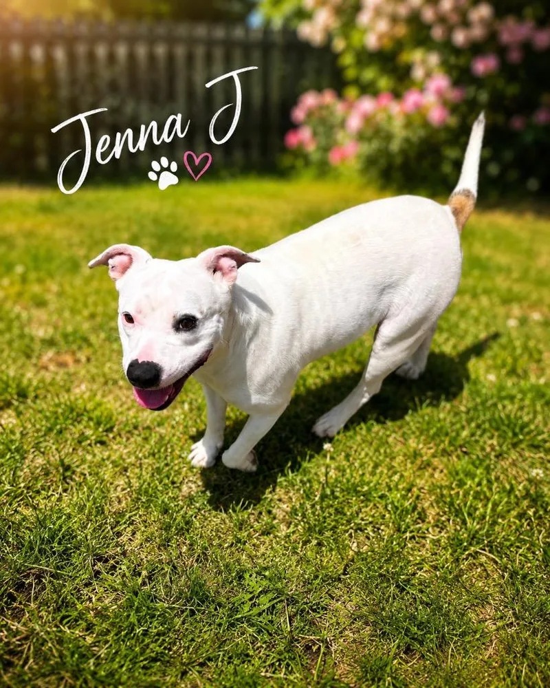 Jenna aka Rosie thumbnail 2