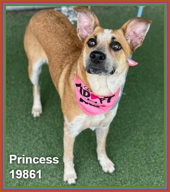 Princess thumbnail 2