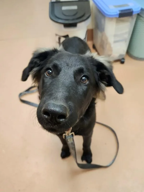 Skye