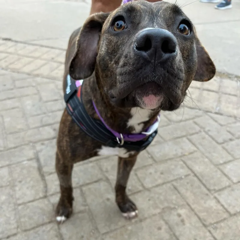 Clemmy Lou thumbnail 2