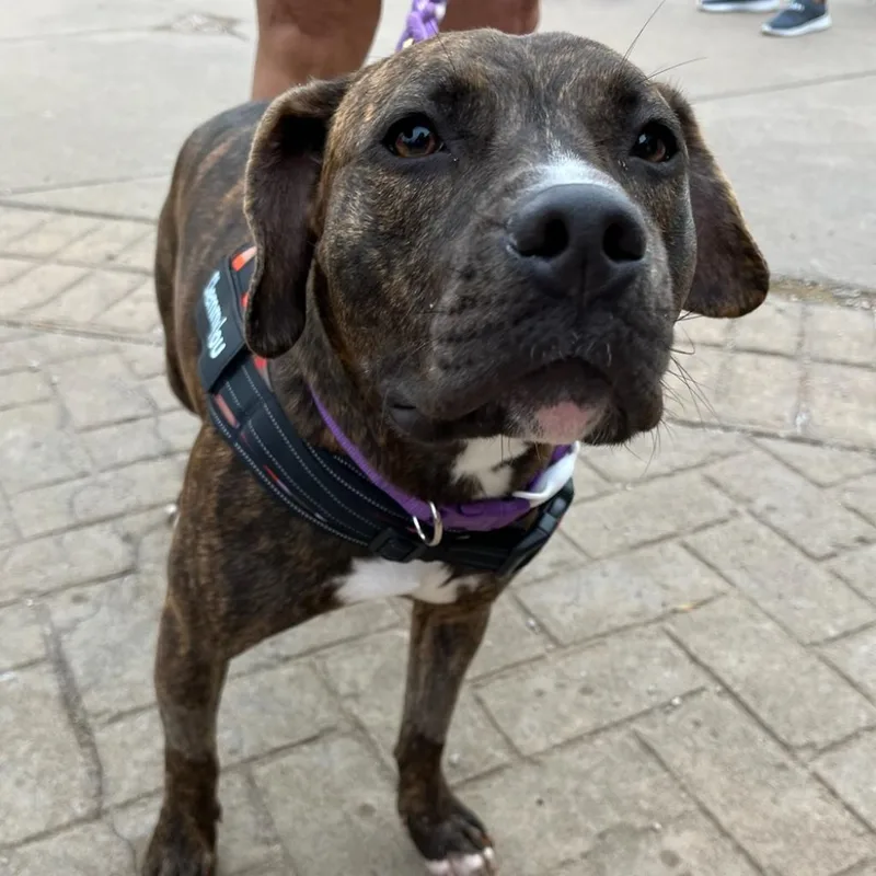 Clemmy Lou thumbnail 3