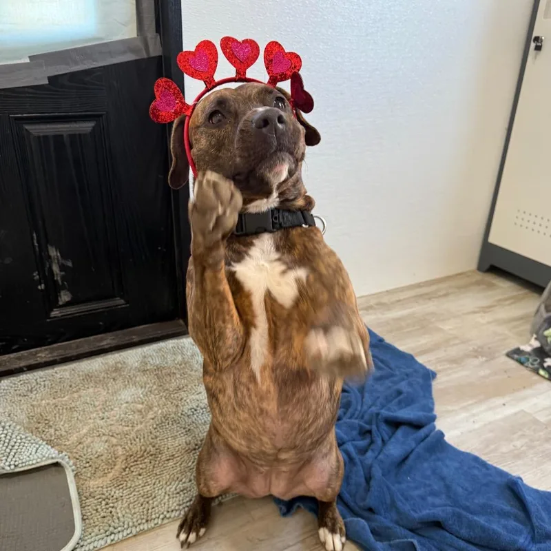 Clemmy Lou thumbnail 4