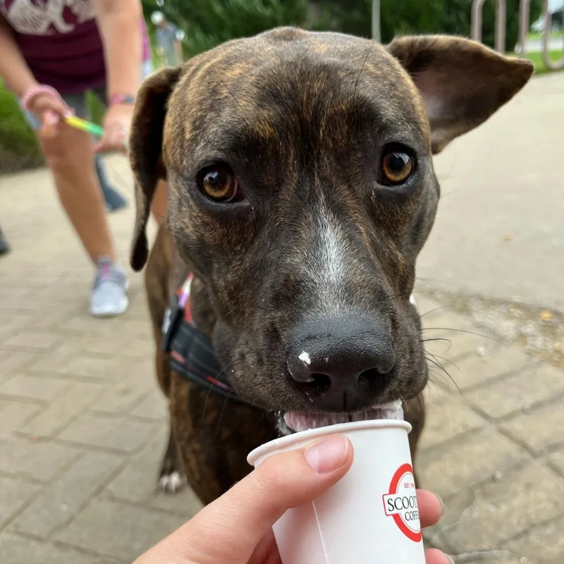 Clemmy Lou thumbnail 5