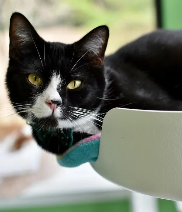 Sebastian thumbnail 2