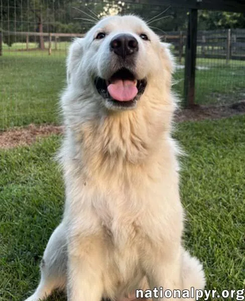 Maggie in GA  thumbnail 2
