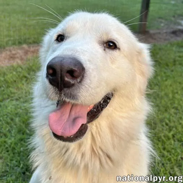 Maggie in GA  thumbnail 3
