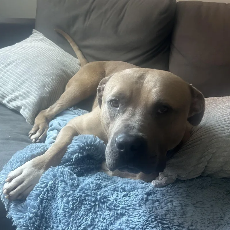 Trombone thumbnail 2