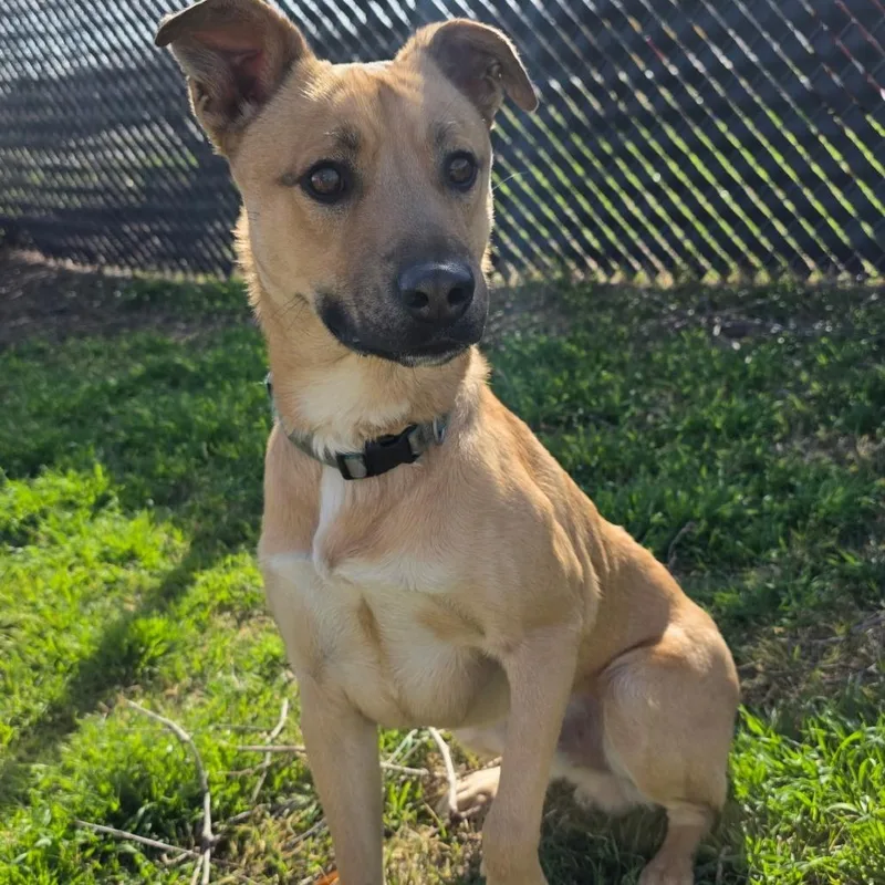 Mr Peabody thumbnail 2