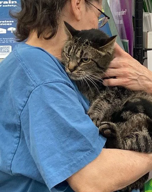 Meribeth Bonded With Little thumbnail 2