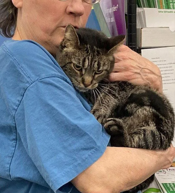 Meribeth Bonded With Little thumbnail 3