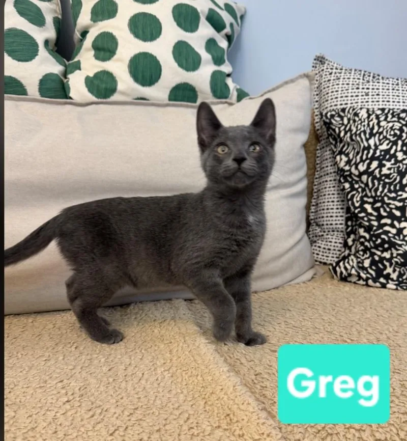 Greg thumbnail 3