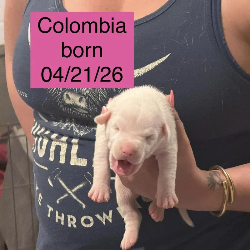 Colombia thumbnail 3