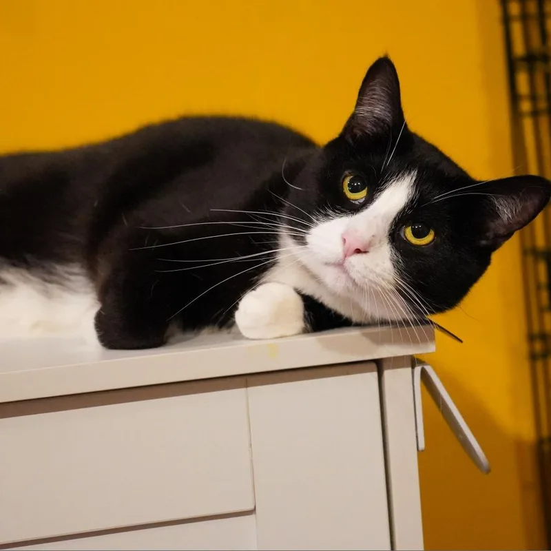 Caroline thumbnail 2