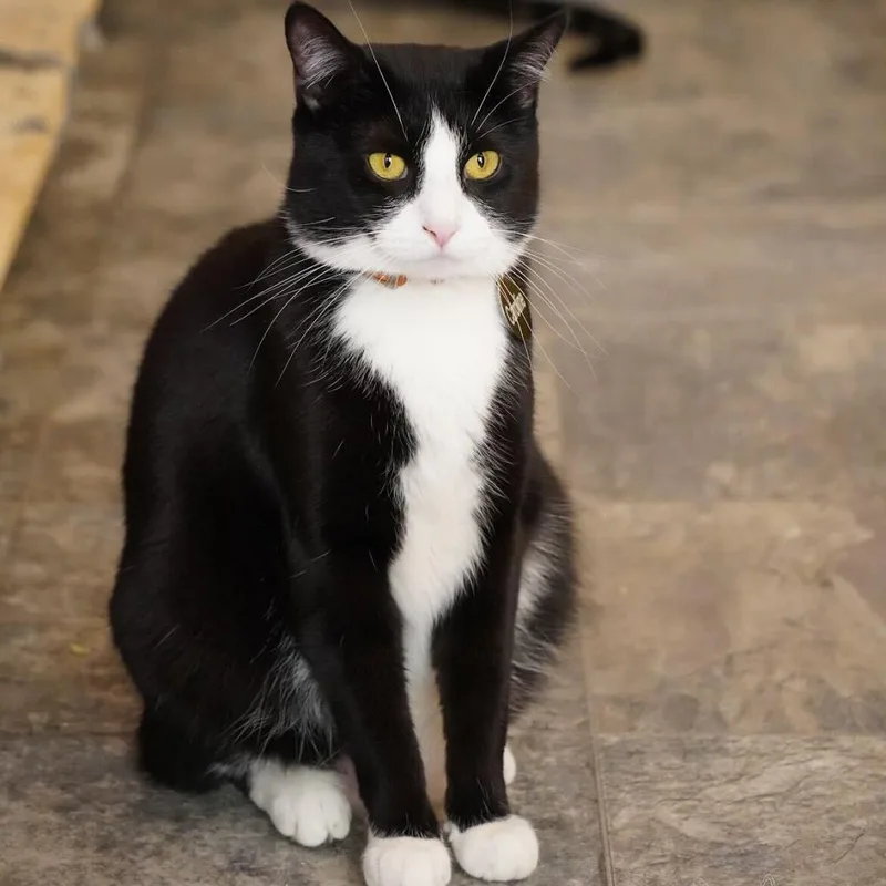 Caroline thumbnail 3