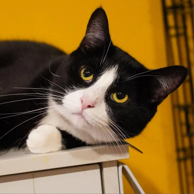 Caroline thumbnail 5